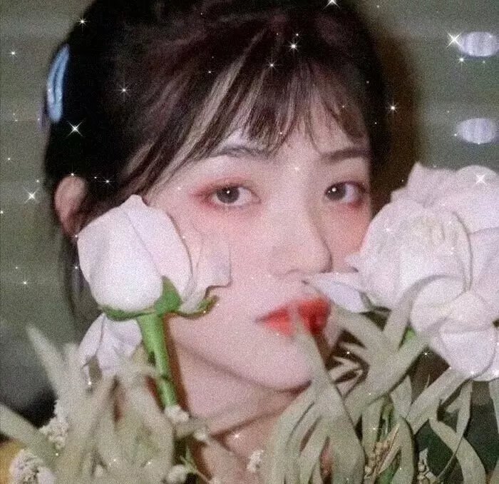 深宫怨灵